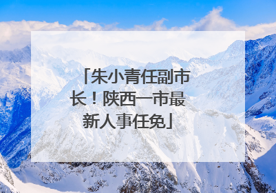 朱小青任副市长！陕西一市最新人事任免