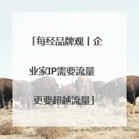 每经品牌观丨企业家IP需要流量 更要超越流量