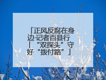 正风反腐在身边·记者百县行丨“双探头”守好“拨付路”