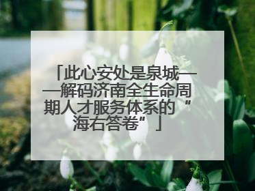此心安处是泉城——解码济南全生命周期人才服务体系的“海右答卷”