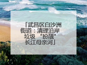 武昌区白沙洲街道：清理沿岸垃圾 “扮靓”长江母亲河
