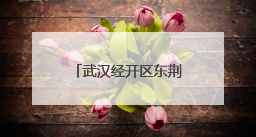 武汉经开区东荆街道开展关爱困境和留守儿童活动