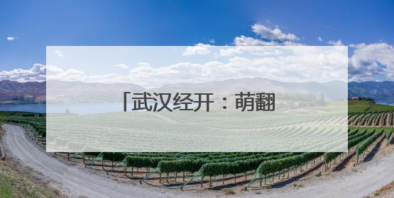武汉经开：萌翻了！车谷萌娃花式过“六一”