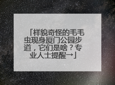 样貌奇怪的毛毛虫现身厦门公园步道，它们是啥？专业人士提醒→