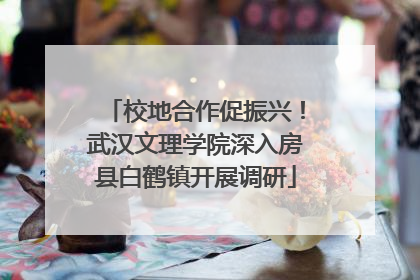 校地合作促振兴！武汉文理学院深入房县白鹤镇开展调研