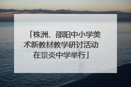 株洲、邵阳中小学美术新教材教学研讨活动在景炎中学举行
