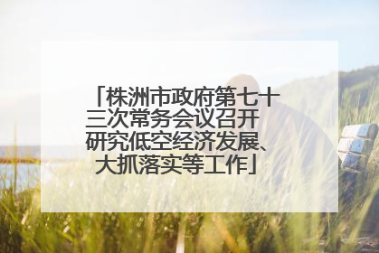 株洲市政府第七十三次常务会议召开 研究低空经济发展、大抓落实等工作