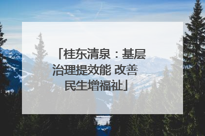 桂东清泉：基层治理提效能 改善民生增福祉