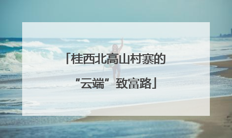 桂西北高山村寨的“云端”致富路