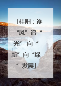 桂阳：逐“风”追“光” 向“新”向“绿”发展