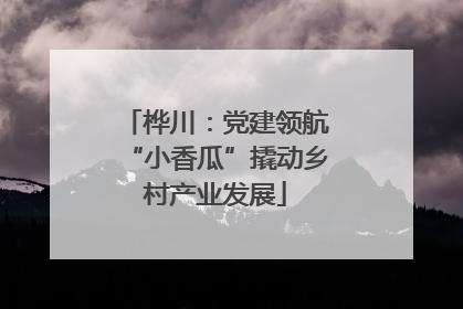 桦川：党建领航“小香瓜”撬动乡村产业发展