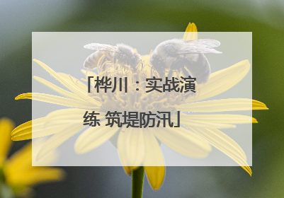 桦川：实战演练 筑堤防汛