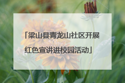 梁山县青龙山社区开展红色宣讲进校园活动