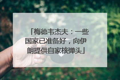梅德韦杰夫：一些国家已准备好，向伊朗提供自家核弹头