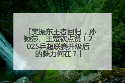 樊振东王者回归，孙颖莎、王楚钦点赞！2025乒超联赛升级后的魅力何在？