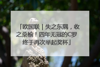 欧国联｜失之东隅，收之桑榆！四年无冠的C罗终于再次举起奖杯