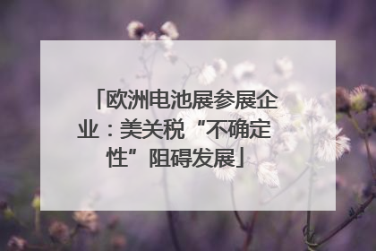 欧洲电池展参展企业：美关税“不确定性”阻碍发展