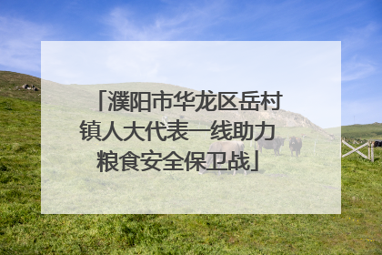 濮阳市华龙区岳村镇人大代表一线助力粮食安全保卫战