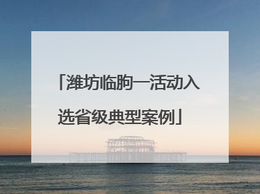 潍坊临朐一活动入选省级典型案例