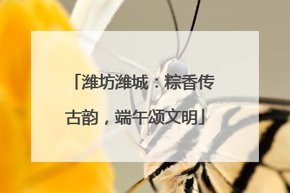 潍坊潍城：粽香传古韵，端午颂文明