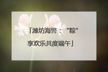 潍坊海警：“粽”享欢乐共度端午