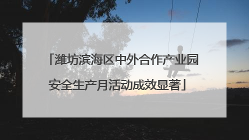 潍坊滨海区中外合作产业园安全生产月活动成效显著