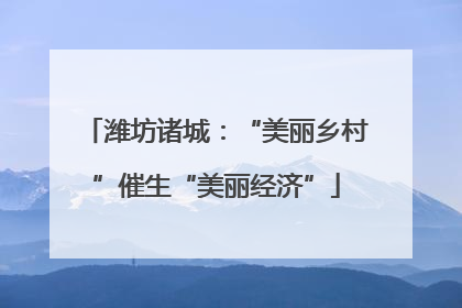 潍坊诸城：“美丽乡村”催生“美丽经济”