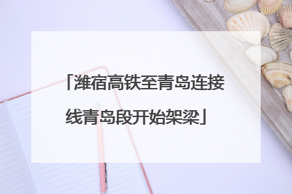 潍宿高铁至青岛连接线青岛段开始架梁