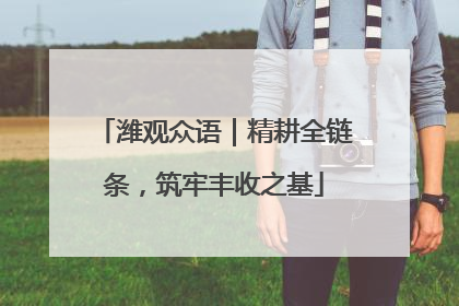 潍观众语｜精耕全链条，筑牢丰收之基