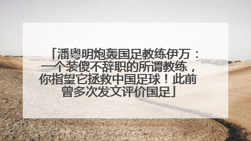 潘粤明炮轰国足教练伊万：一个装傻不辞职的所谓教练，你指望它拯救中国足球！此前曾多次发文评价国足