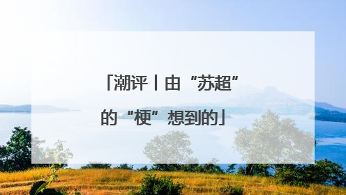 潮评丨由“苏超”的“梗”想到的
