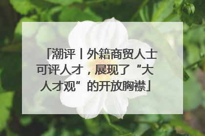潮评丨外籍商贸人士可评人才，展现了“大人才观”的开放胸襟