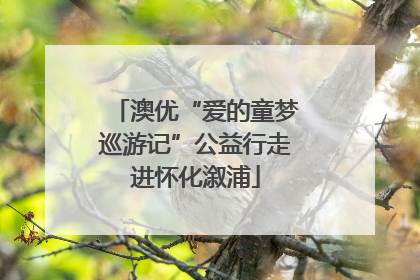 澳优“爱的童梦巡游记”公益行走进怀化溆浦