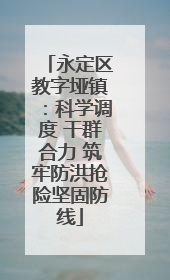 永定区教字垭镇：科学调度 干群合力 筑牢防洪抢险坚固防线
