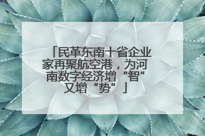 民革东南十省企业家再聚航空港，为河南数字经济增“智”又增“势”