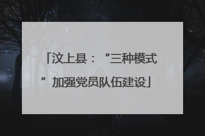 汶上县：“三种模式”加强党员队伍建设