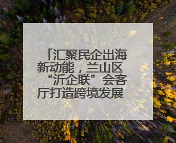 汇聚民企出海新动能，兰山区“沂企联”会客厅打造跨境发展强磁场