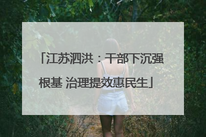 江苏泗洪：干部下沉强根基 治理提效惠民生