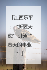 江西乐平：“折翼天使”引领“春天的事业”