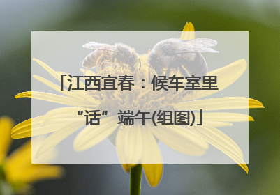 江西宜春：候车室里“话”端午(组图)