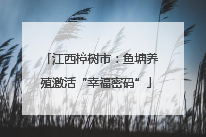 江西樟树市：鱼塘养殖激活“幸福密码”