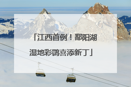 江西首例！鄱阳湖湿地彩鹮喜添新丁