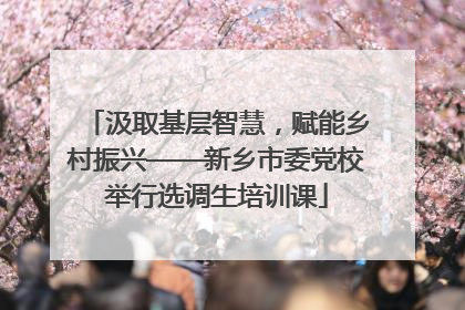 汲取基层智慧，赋能乡村振兴——新乡市委党校举行选调生培训课