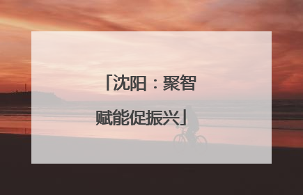 沈阳：聚智赋能促振兴