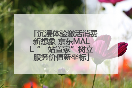沉浸体验激活消费新想象 京东MALL“一站置家”树立服务价值新坐标