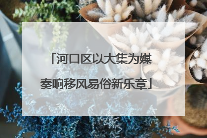 河口区以大集为媒 奏响移风易俗新乐章