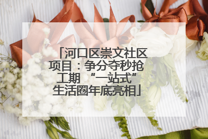 河口区崇文社区项目：争分夺秒抢工期 “一站式”生活圈年底亮相
