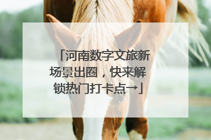 河南数字文旅新场景出圈，快来解锁热门打卡点→