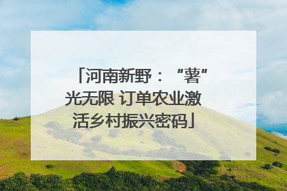 河南新野：“薯”光无限 订单农业激活乡村振兴密码