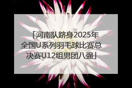 河南队跻身2025年全国U系列羽毛球比赛总决赛U12组男团八强